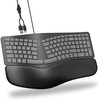 OMOTON USB-A Type-C Ergonomic Keyboard Split with Cushioned Wrist Rest | Curved Keyboard Wired, 0-9 Number pad, Dual Interface, Adjustable Tilts, Natural Typing, Office Work, for Windows/PC/Laptop